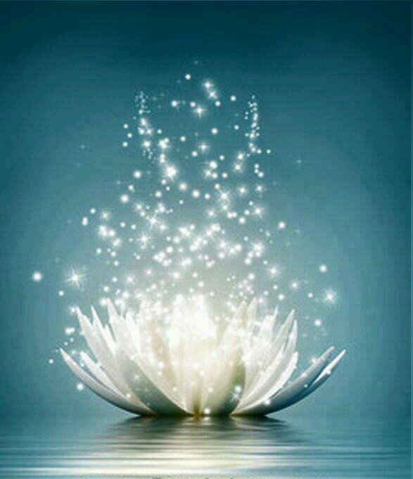 gema_li's profile picture. 