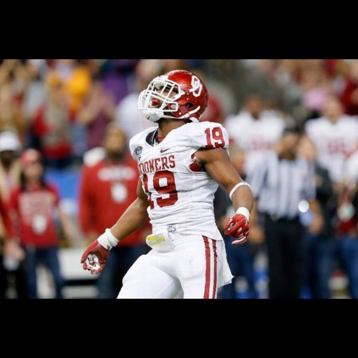 SoonerCardinal's profile picture. 