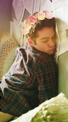 DBallsOBrienPP's profile picture. I feed off of strife, pain, and chaos || I fell for my bestfriend. Who thought that would happen? But honestly, I'm glad it did || 1/2 of the banana clique