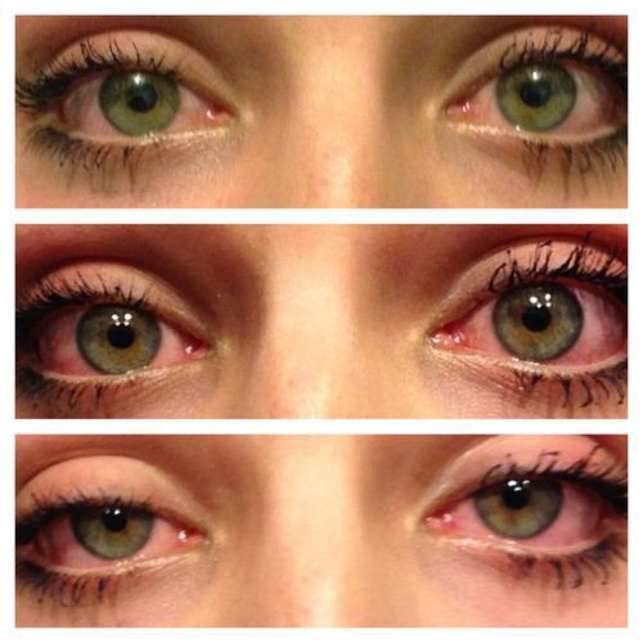 Your daily dose of weed.
