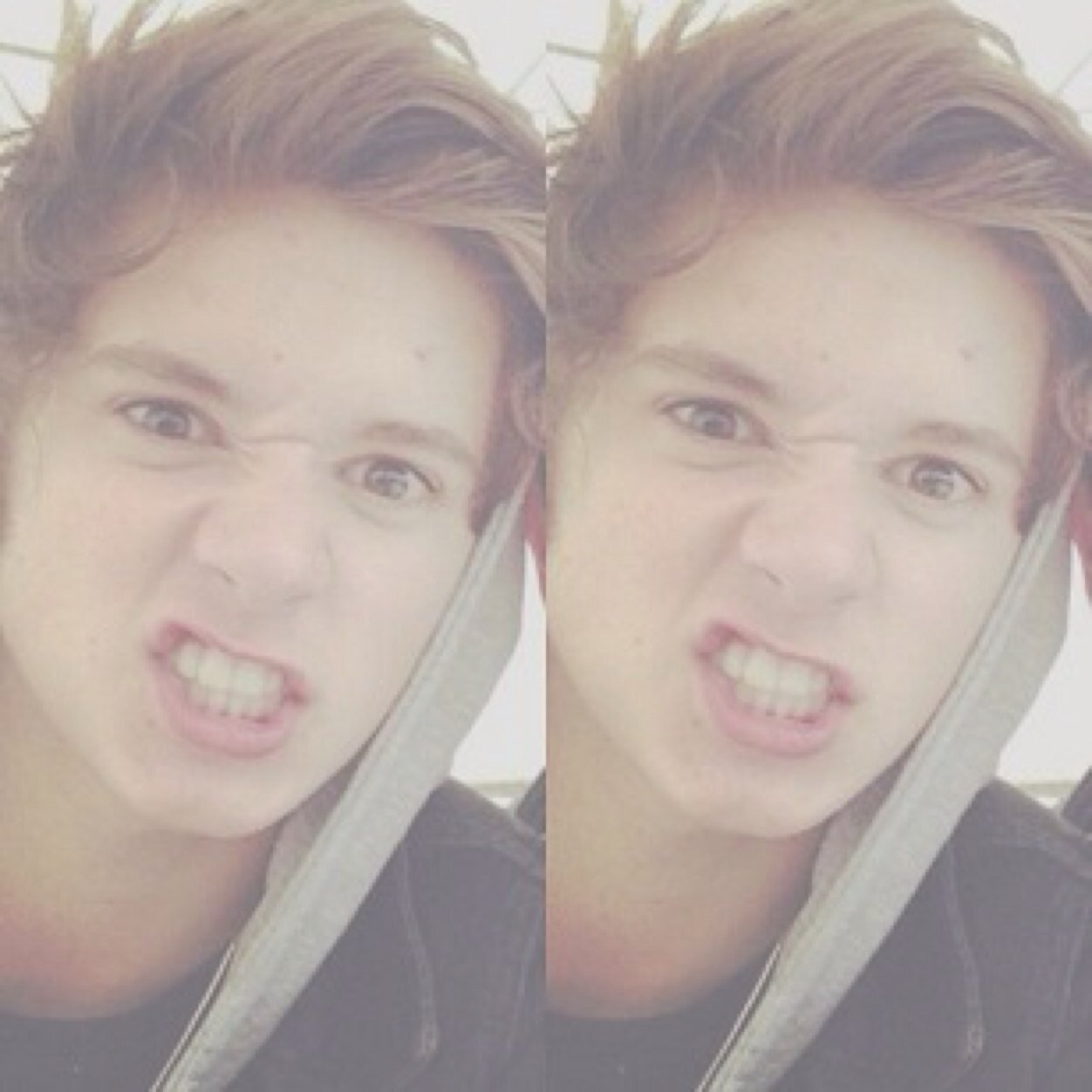 shibby.