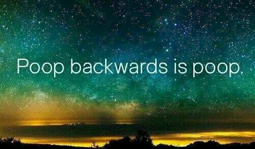 StarboyBassist's profile picture. 