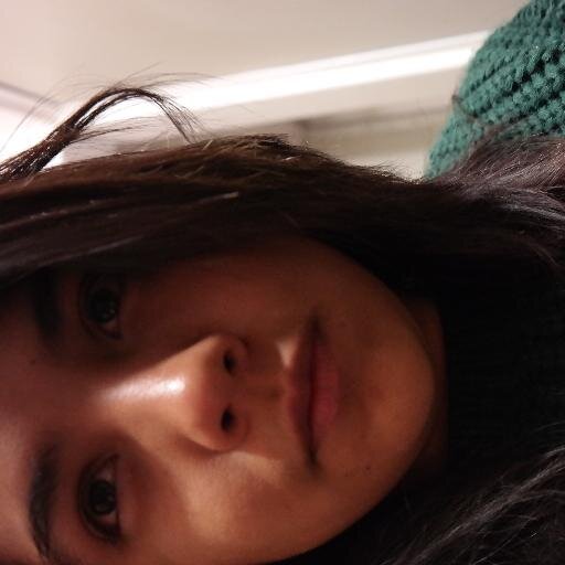 amo a Lotta