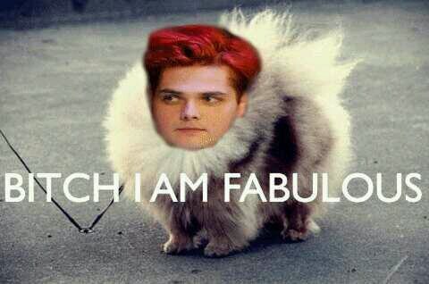 MCR | ATL | MIW | FIR | A7X | BLG | MM | NSN | MSI |
