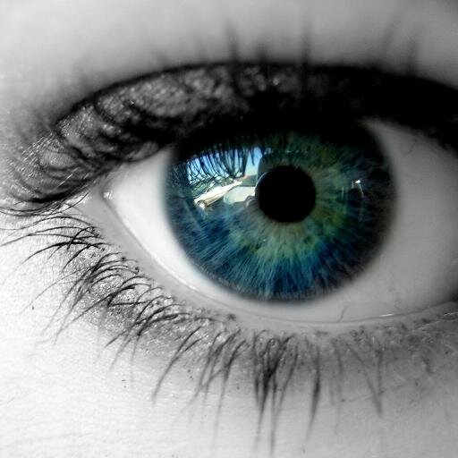 cosmosINDO's profile picture. 