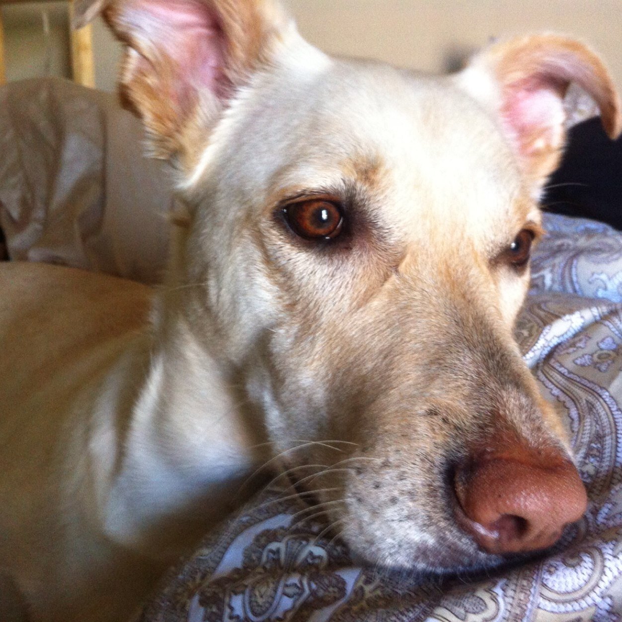 coolncgirl's profile picture. 