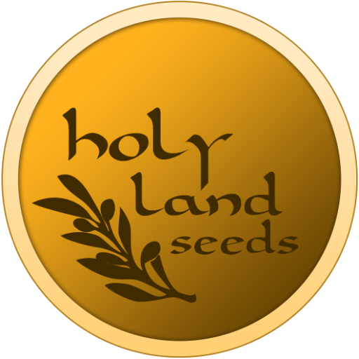 HolyLandSeeds4u's profile picture. Seeds from the Holy Land