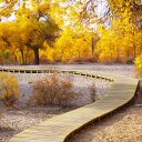 Ella Li - @EllaLi201 - Twitter