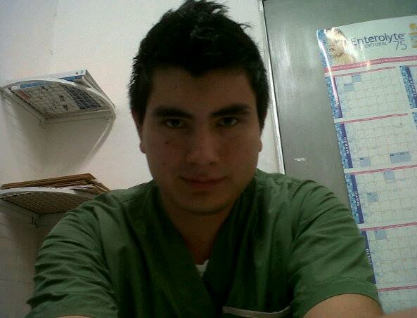 johanalfaro46's profile picture. 