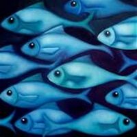 Nick (@fishtweeter) 's Twitter Profile