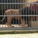 ephrem Estifanos - @e1p1h1 - Twitter