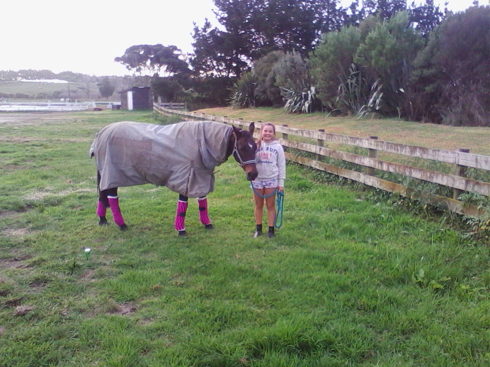 i love horses i have   one horse and my mum has two horses and my sister has a horse too