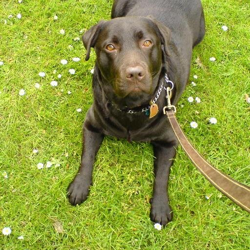 sonnyam2's profile picture. 