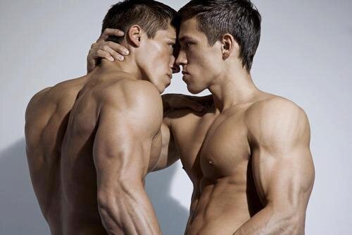 Gays in dresden