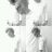 dwirizkyfauzi's profile image