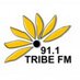 Tribe FM 91.1 (@tribefm911) Twitter profile photo Tribe FM 91.1 (@tribefm911) Twitter profile photo