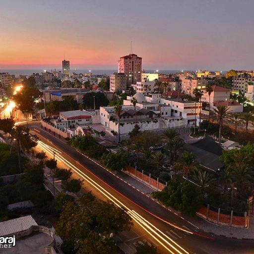 yonesX's profile picture. 