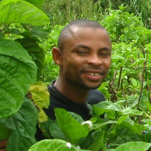 CrispinAssimbo's profile picture. 