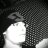 pixongo5's profile image