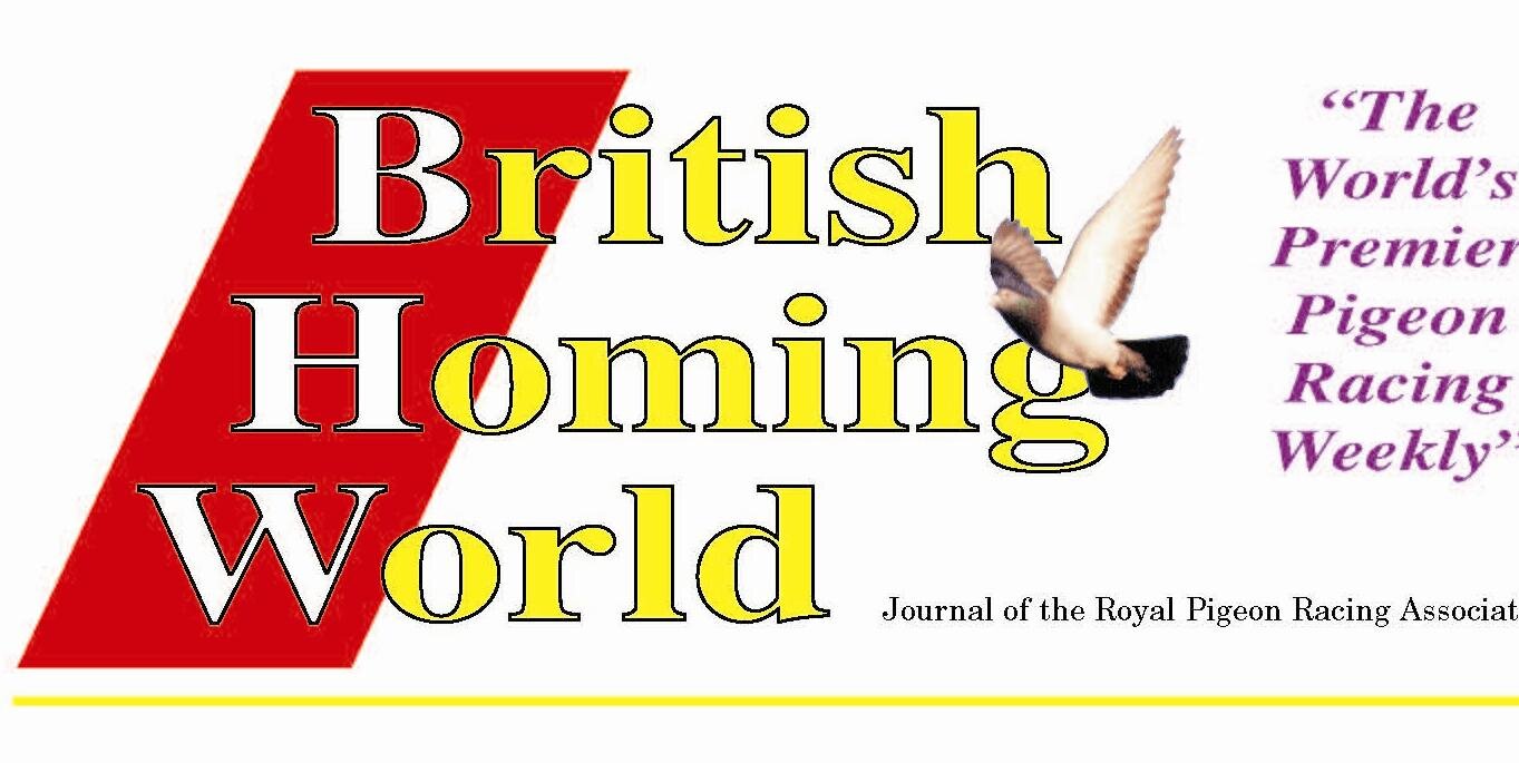 OfficialBHW's profile picture. 