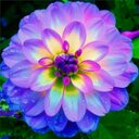 حافظ الغامدي (@1391gaa1391gaa) Twitter