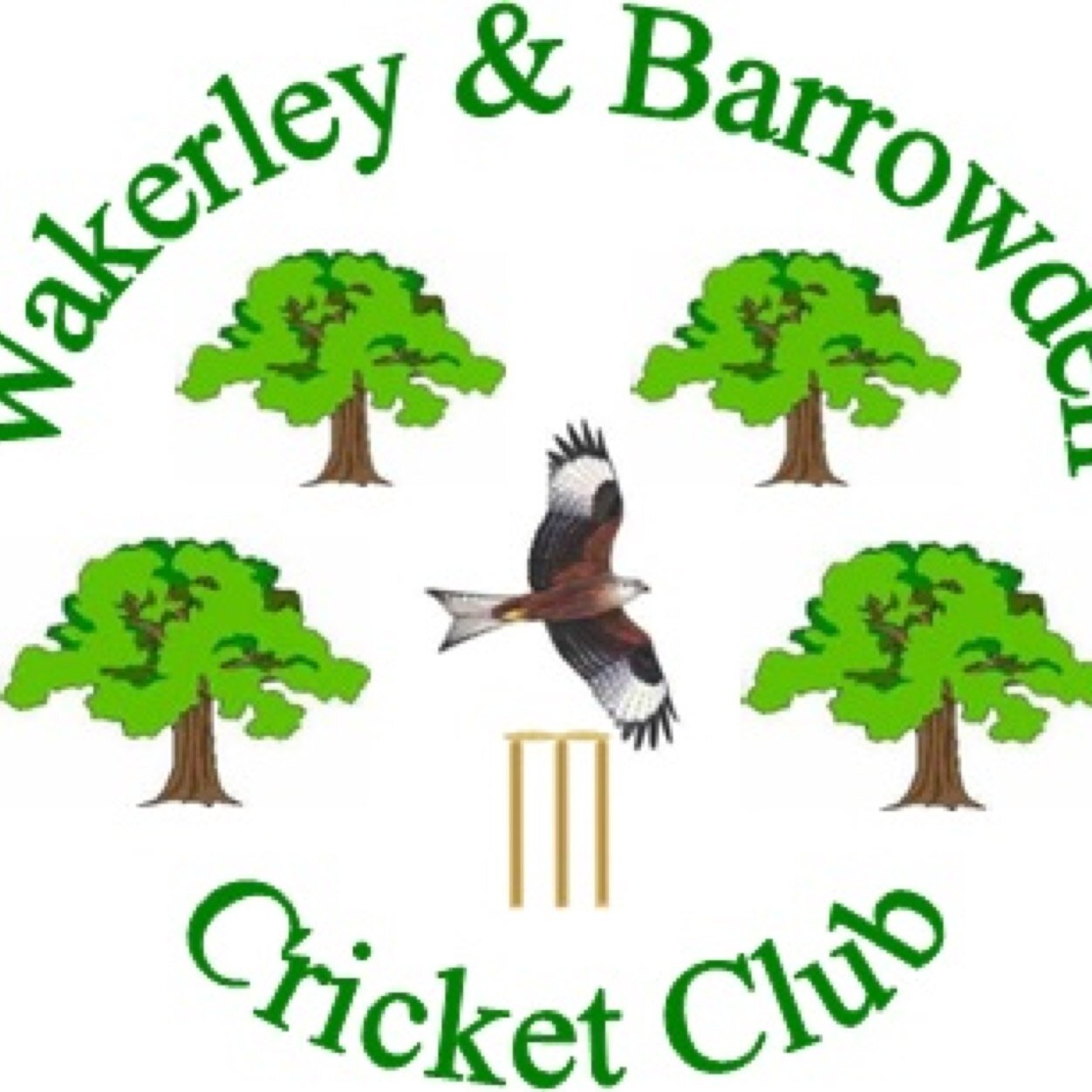 BarrowdenCC Profile Picture