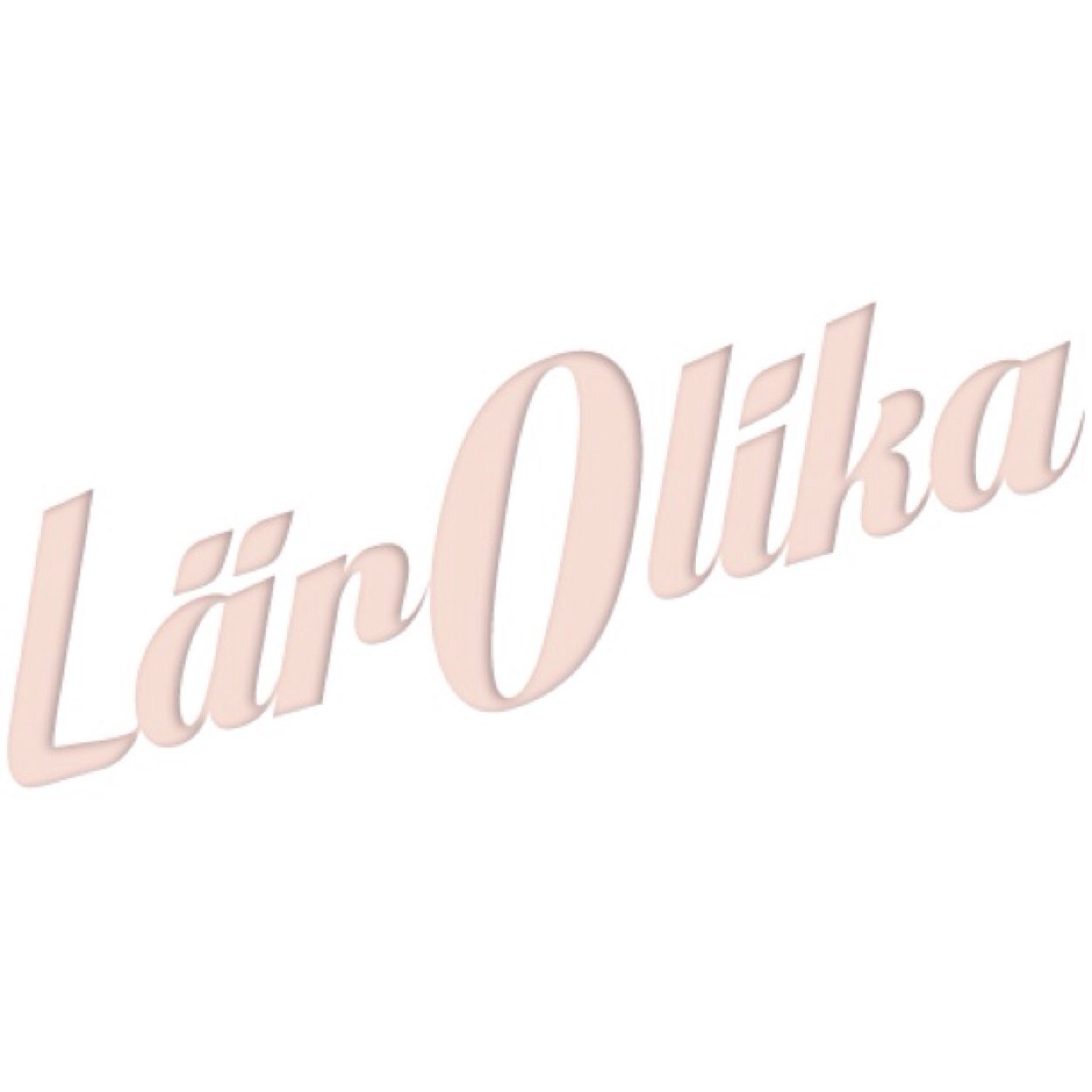LärOlika - människor som verkar och påverkar i olika delar av samhället möts för samtal som ger nya perspektiv och bredare nätverk i en unik utbildning