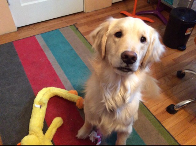 EmmaLatendresse's profile picture. 