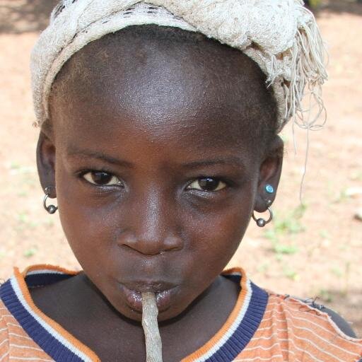 Empower Mali is a non profit partnering with rural Malians to overcome education,health,clean water,clean energy & leadership challenges. http://t.co/Lzjzp7QV9e