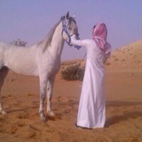 al mhmadiأبوحرب (@almhmadi3) 's Twitter Profile