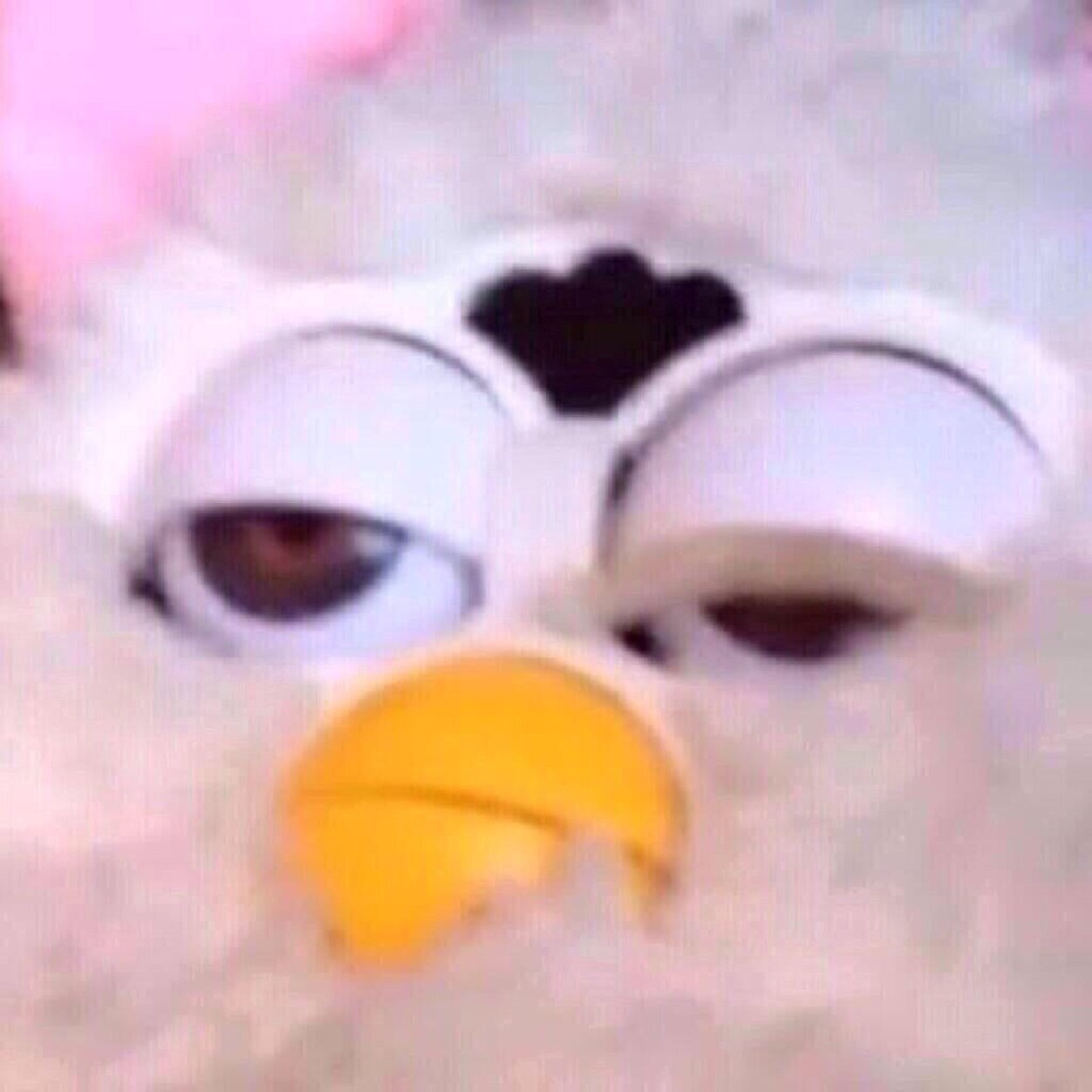 QuinnsYale's profile picture. :)