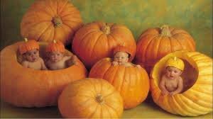Raising the Ordinary to Extraordinary! Mortgages dont have to be scary. Follow along for the young professionals guide to getting the home of your dreams!