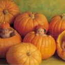 Ian Cano - @ianncano - Twitter