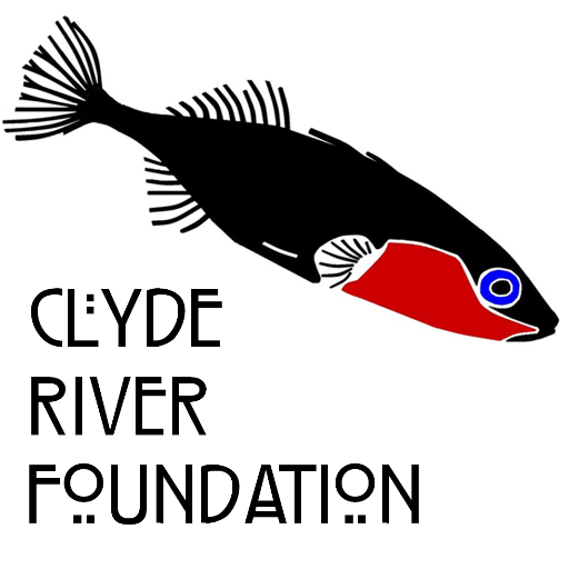 Charity researching the ecology of the Clyde and delivering environmental education projects throughout the catchment.