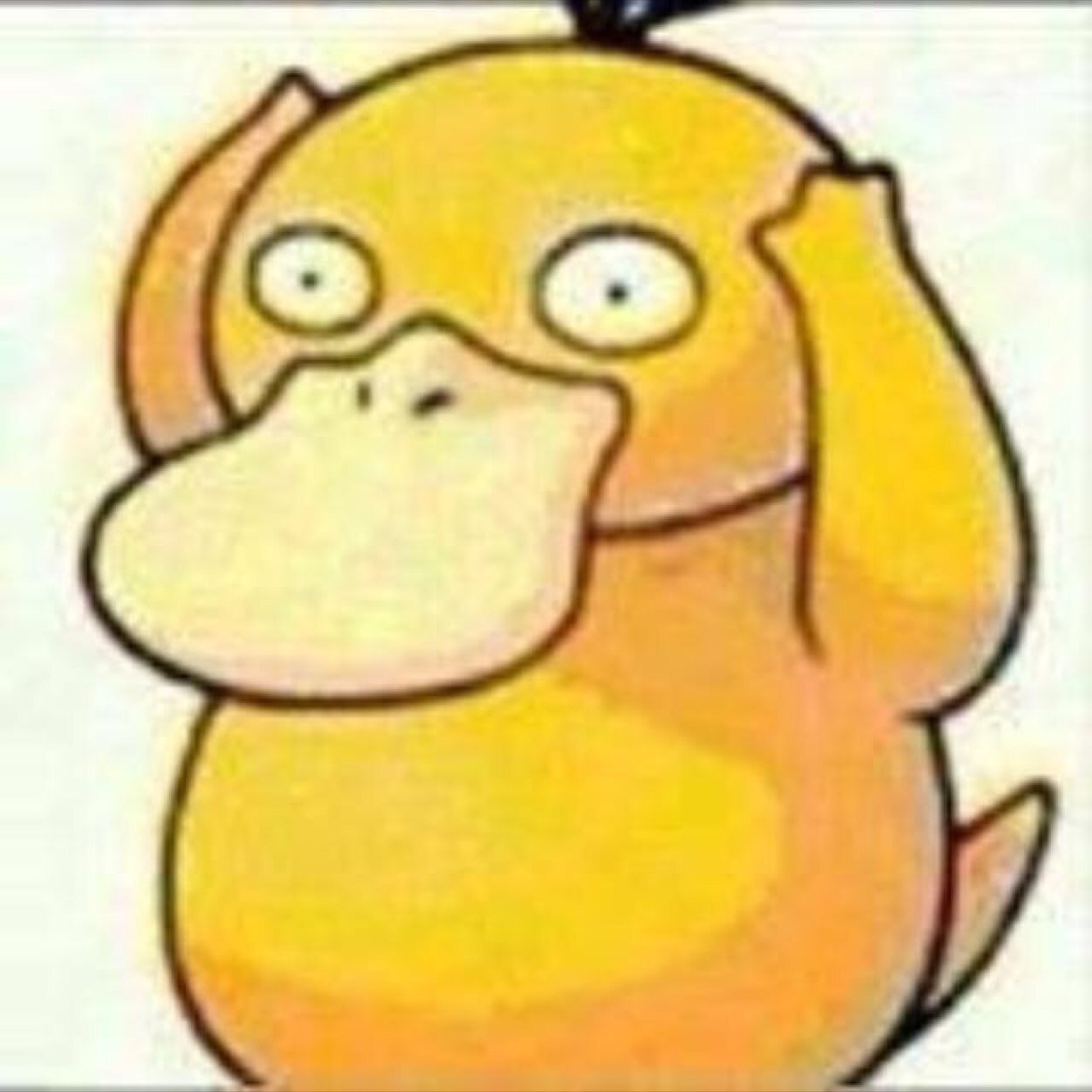 holihoiii's profile picture. 