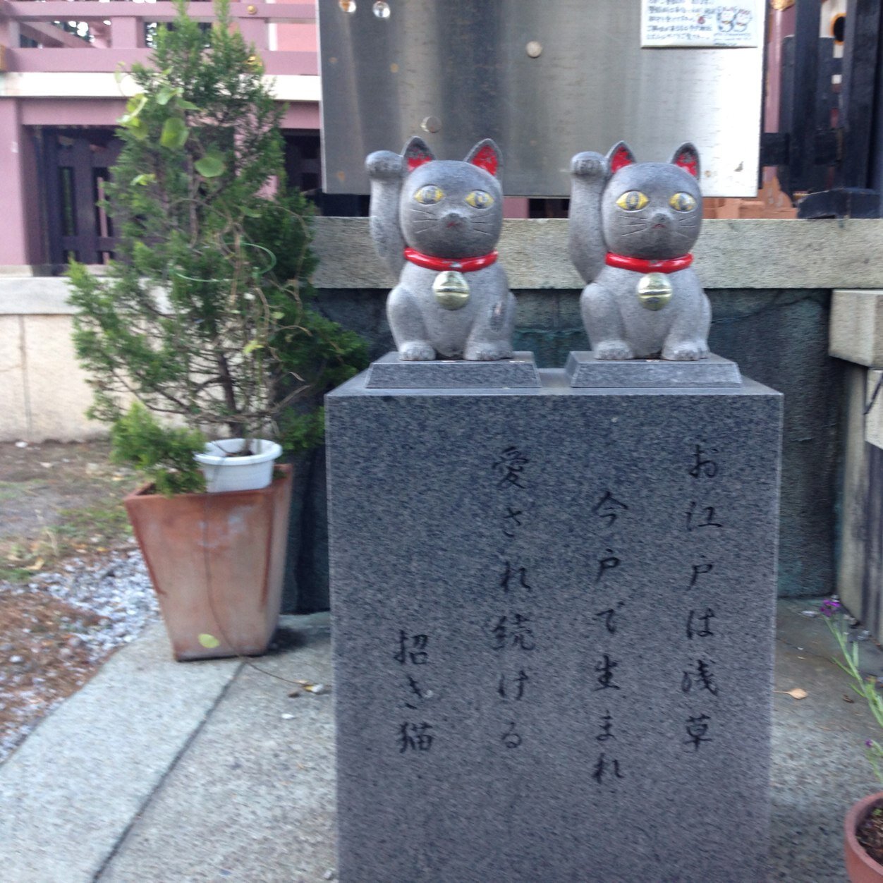はじめまして‼️