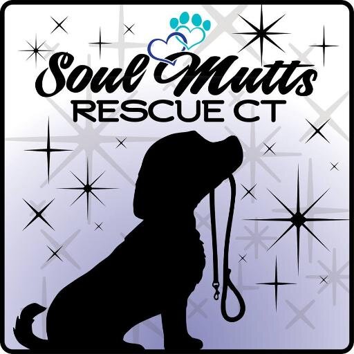 Soulmuttsrescue's profile picture. Soul Mutts Rescue CT is a non-profit, no kill, all volunteer run animal rescue.