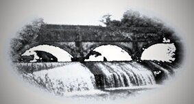 Working towards restoring the Swansea canal to its original beauty
