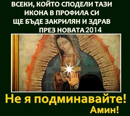 DanailMilanov's profile picture. 