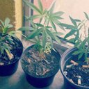 Bryan Tovar - @tovar_bt - Twitter