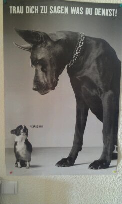 Stefan2039's profile picture. 