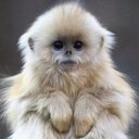 Bee Smith - @beessmith - Twitter