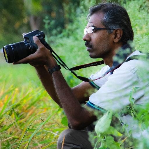 வீதியில் இறங்கி போராடாமல் நியாயம் உன் வீட்டு் படி ஏறாது
Software engineer,Photographer, books,comics,Honda long rider,love to meet new people dharavidiyan stock