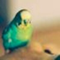 Avatar of 生物群