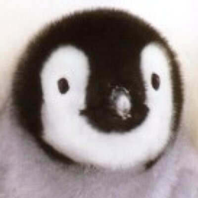 gryyyyyy's profile image