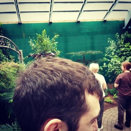 botrickneville's profile picture. i love fitbit stats