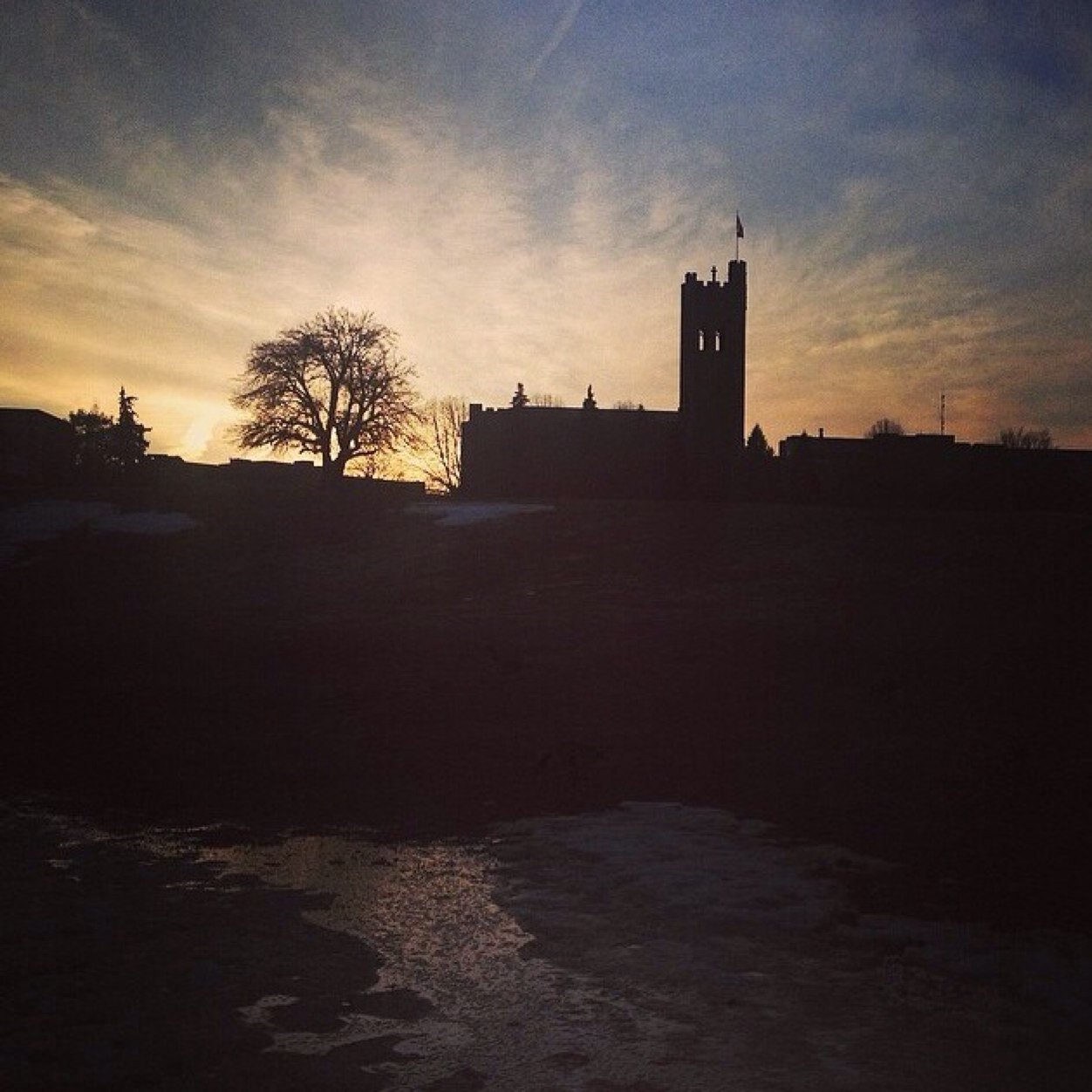 ShadowedByPain's profile picture. 