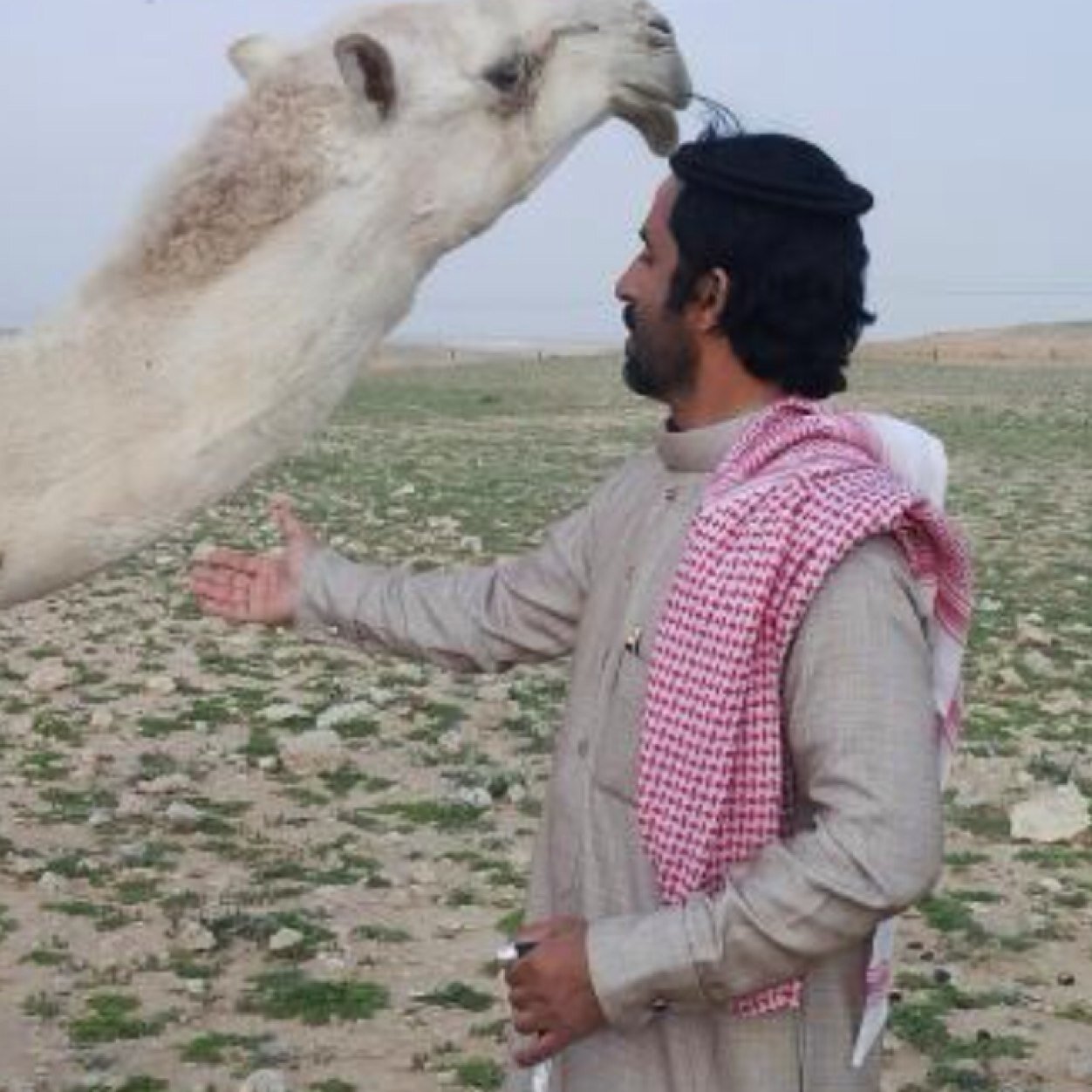 shaamel20112's profile picture. 