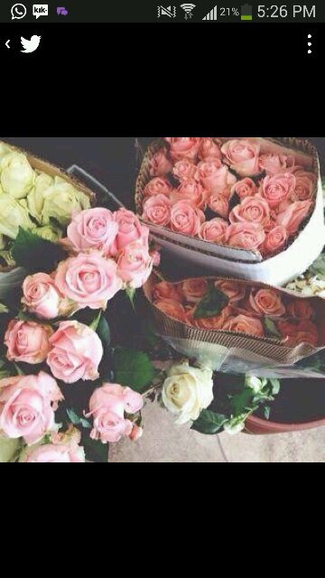 Islam is not a religion of hate and terror, Islam is a religion of peace, love and guidance ✌❤ intag:@islam_means_peace