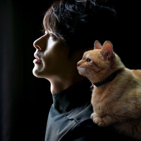 火の国生まれ。猫、韓国ドラマ、ヒョンビン、堤真一が好き。日本のドラマも好きだけどなかなか見る時間がありません。消しゴムはんこ・ソーイング・編み物等短期的周期的にハマります。
